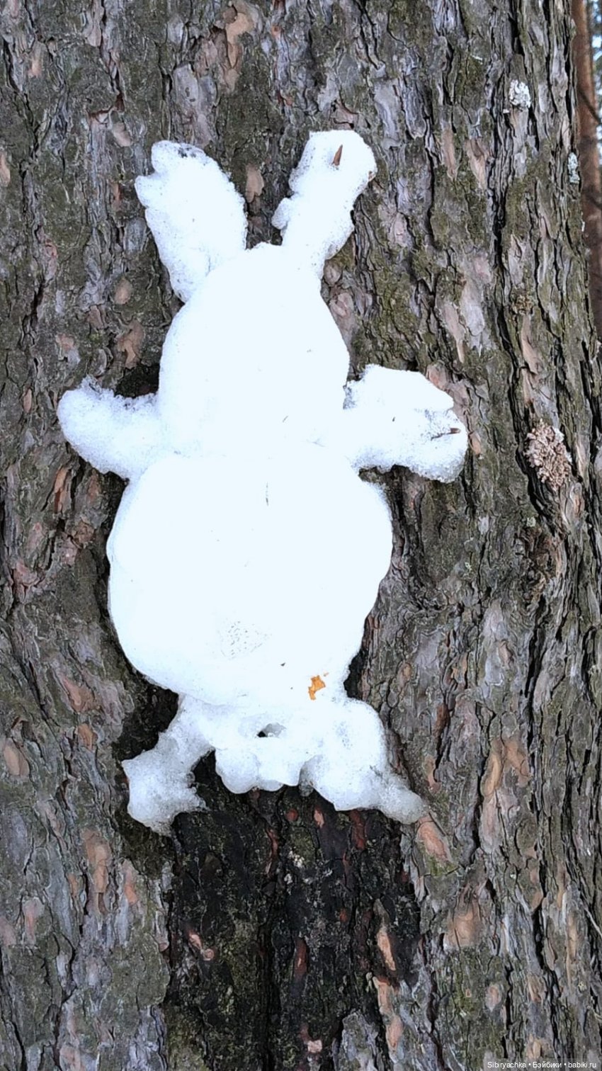 История о том, как Юляшка и Марьяшка весело провели время в лесу