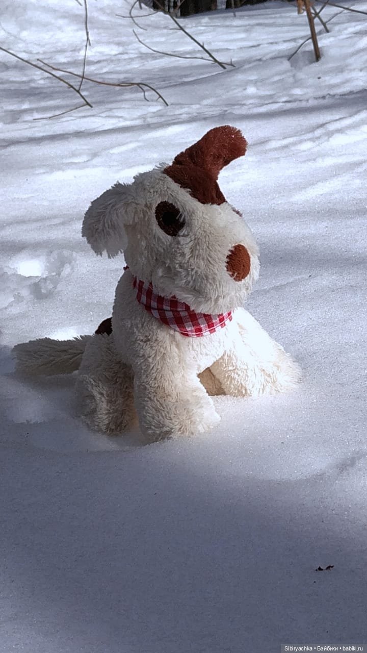 История о том, как Юляшка и Марьяшка весело провели время в лесу