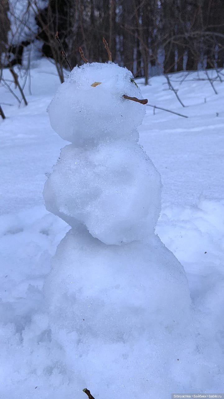 История о том, как Юляшка и Марьяшка весело провели время в лесу