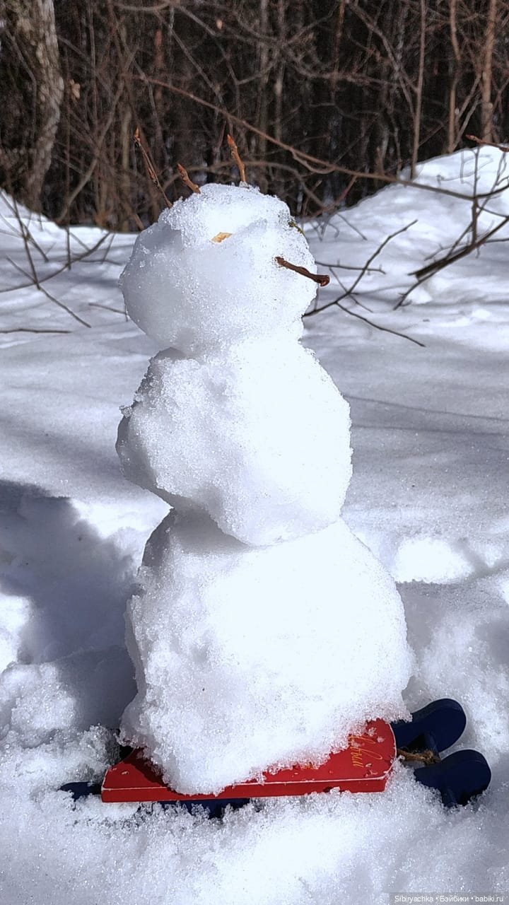 История о том, как Юляшка и Марьяшка весело провели время в лесу