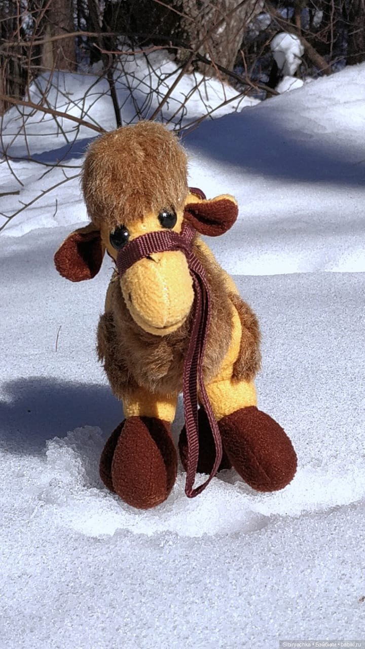 История о том, как Юляшка, Дружок и верблюжонок Том гуляли в лесу