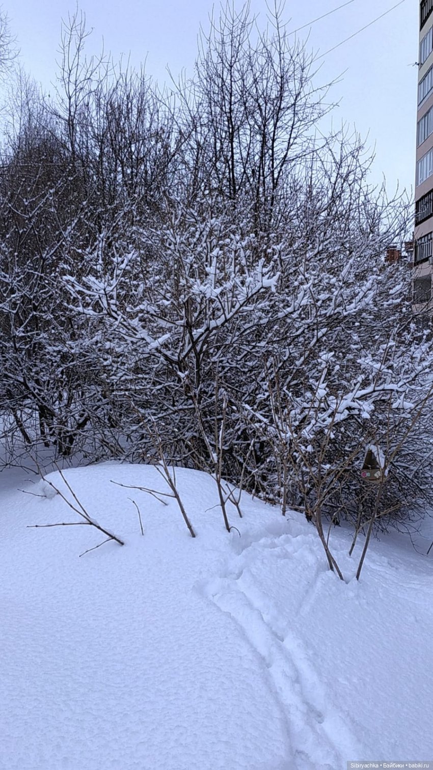 Зима недаром злится, прошла её пора