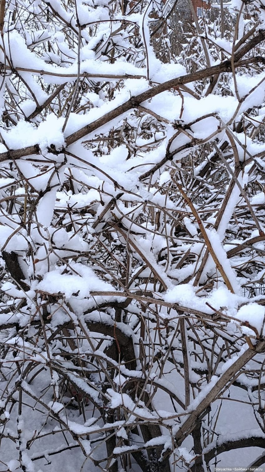 Зима недаром злится, прошла её пора (фото 10)