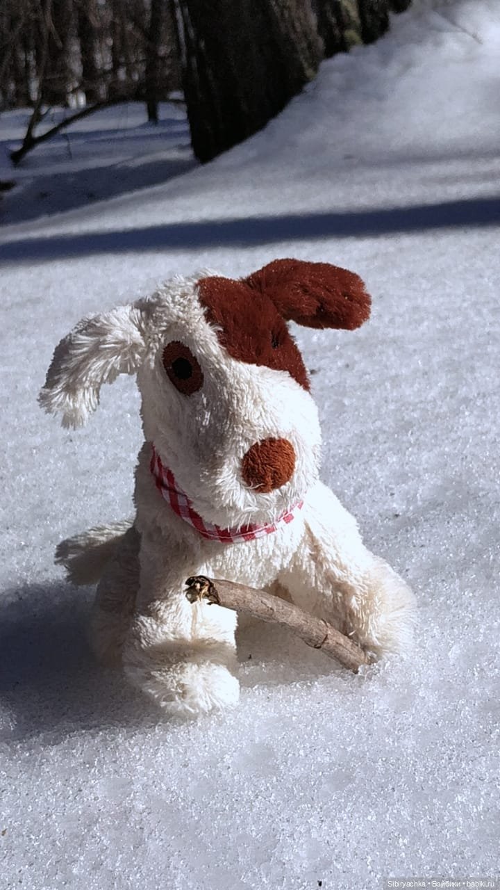 История о том, как Юляшка, Дружок и верблюжонок Том гуляли в лесу