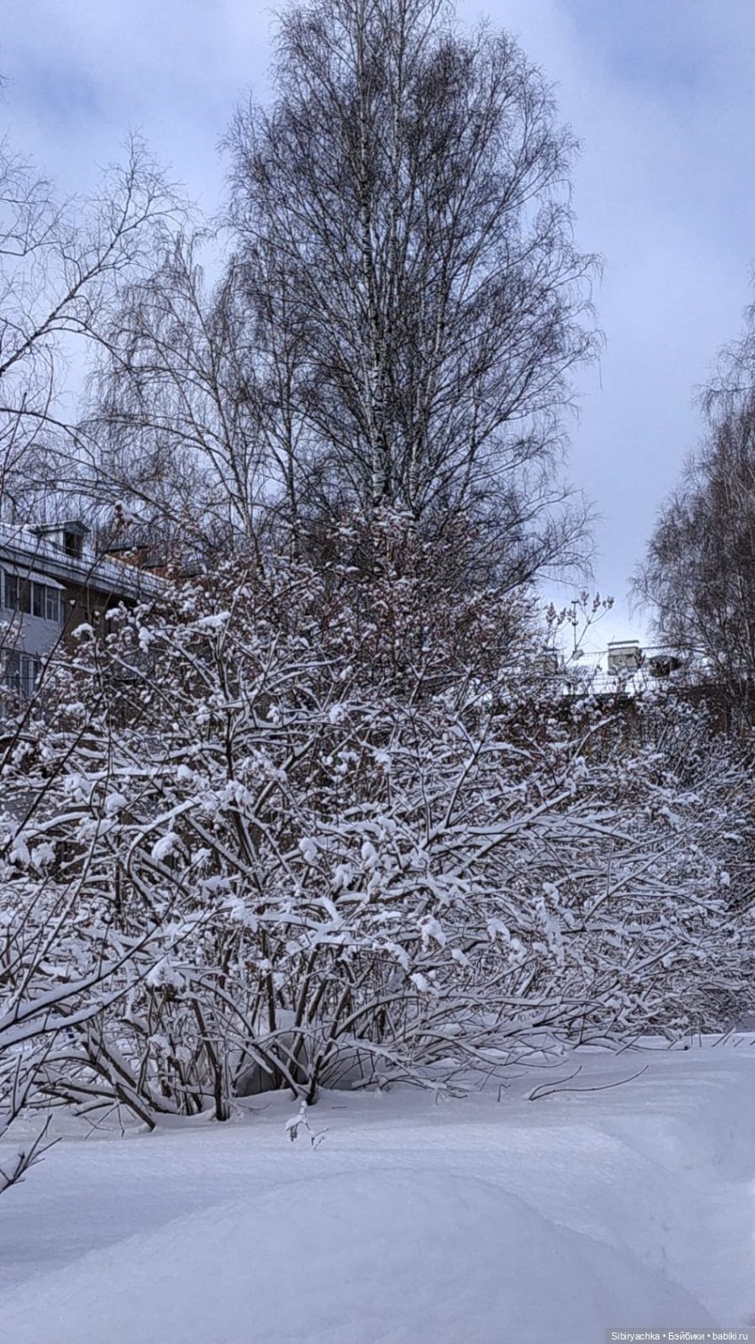 Зима недаром злится, прошла её пора