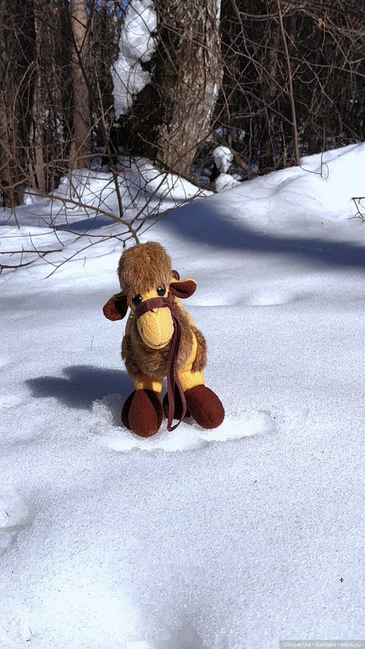 История о том, как Юляшка, Дружок и верблюжонок Том гуляли в лесу