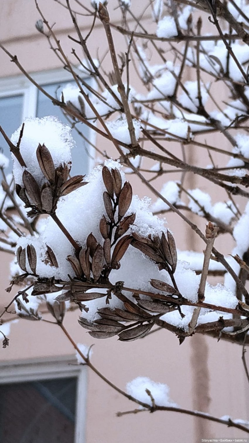 Зима недаром злится, прошла её пора