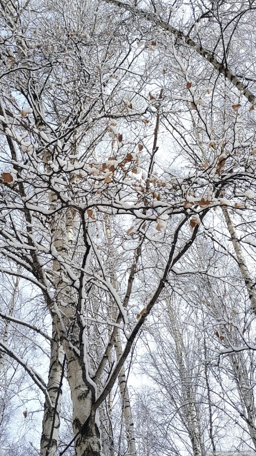 Зима недаром злится, прошла её пора (фото 3)
