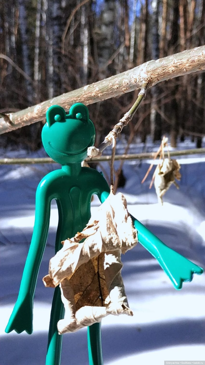 История о том, как Юляшка, Дружок и верблюжонок Том гуляли в лесу (фото 5)