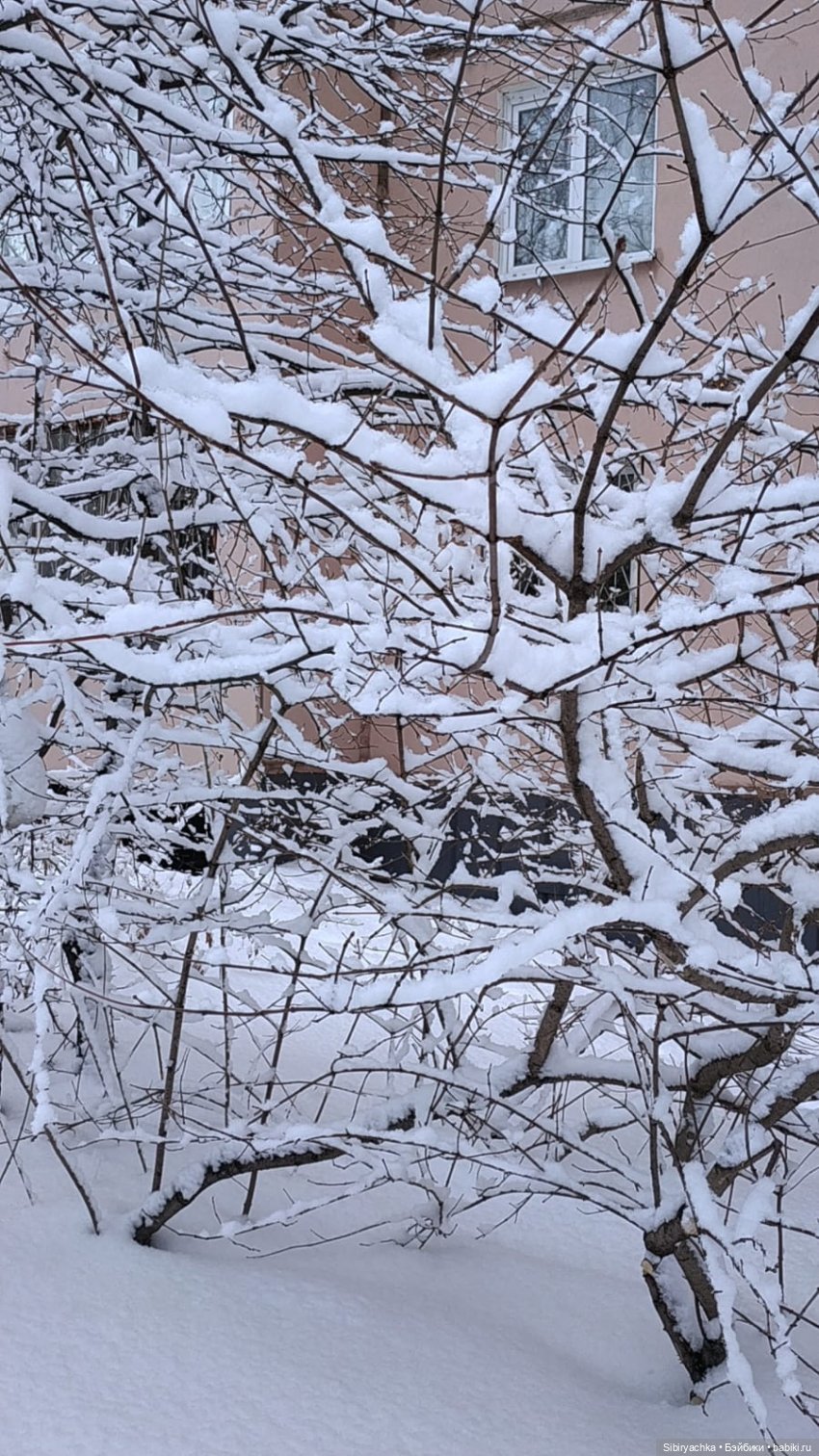 Зима недаром злится, прошла её пора (фото 7)