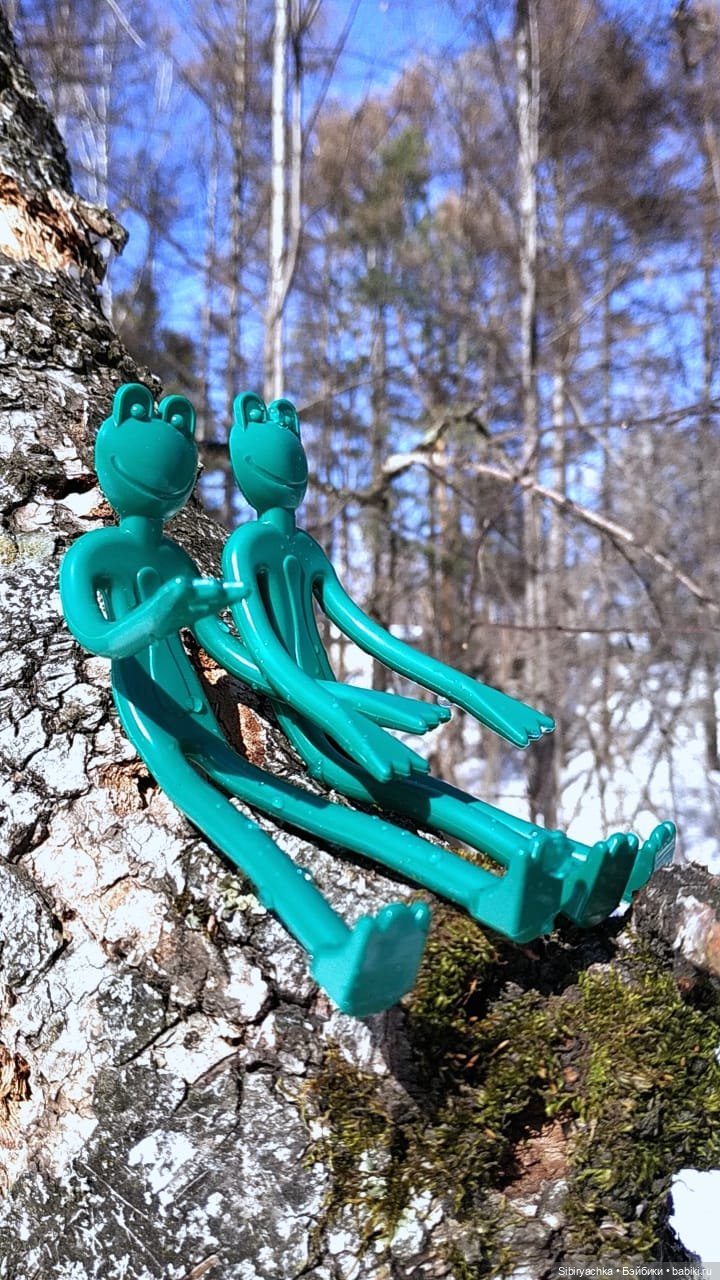 История о том, как Юляшка, Дружок и верблюжонок Том гуляли в лесу