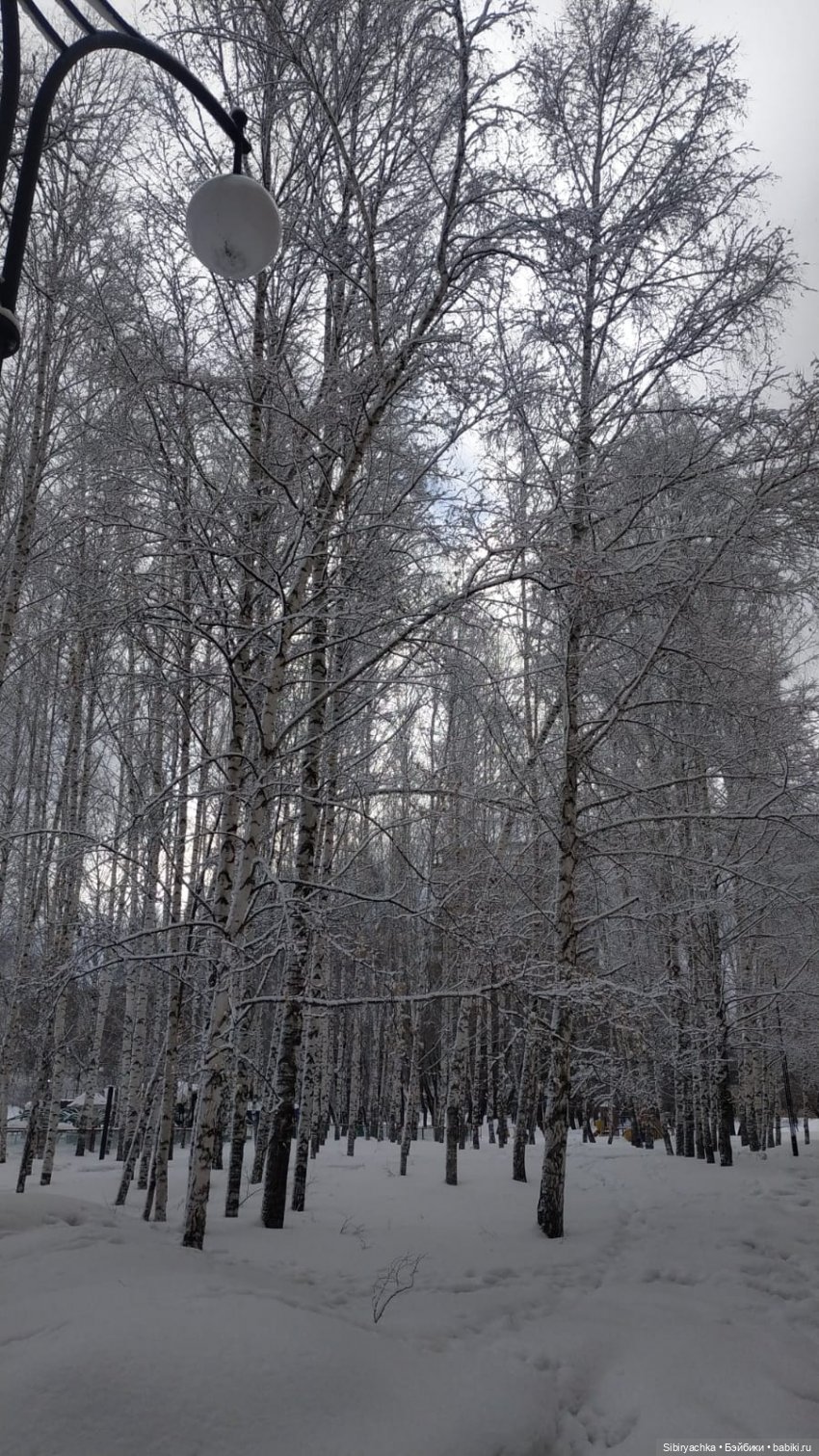 Зима недаром злится, прошла её пора