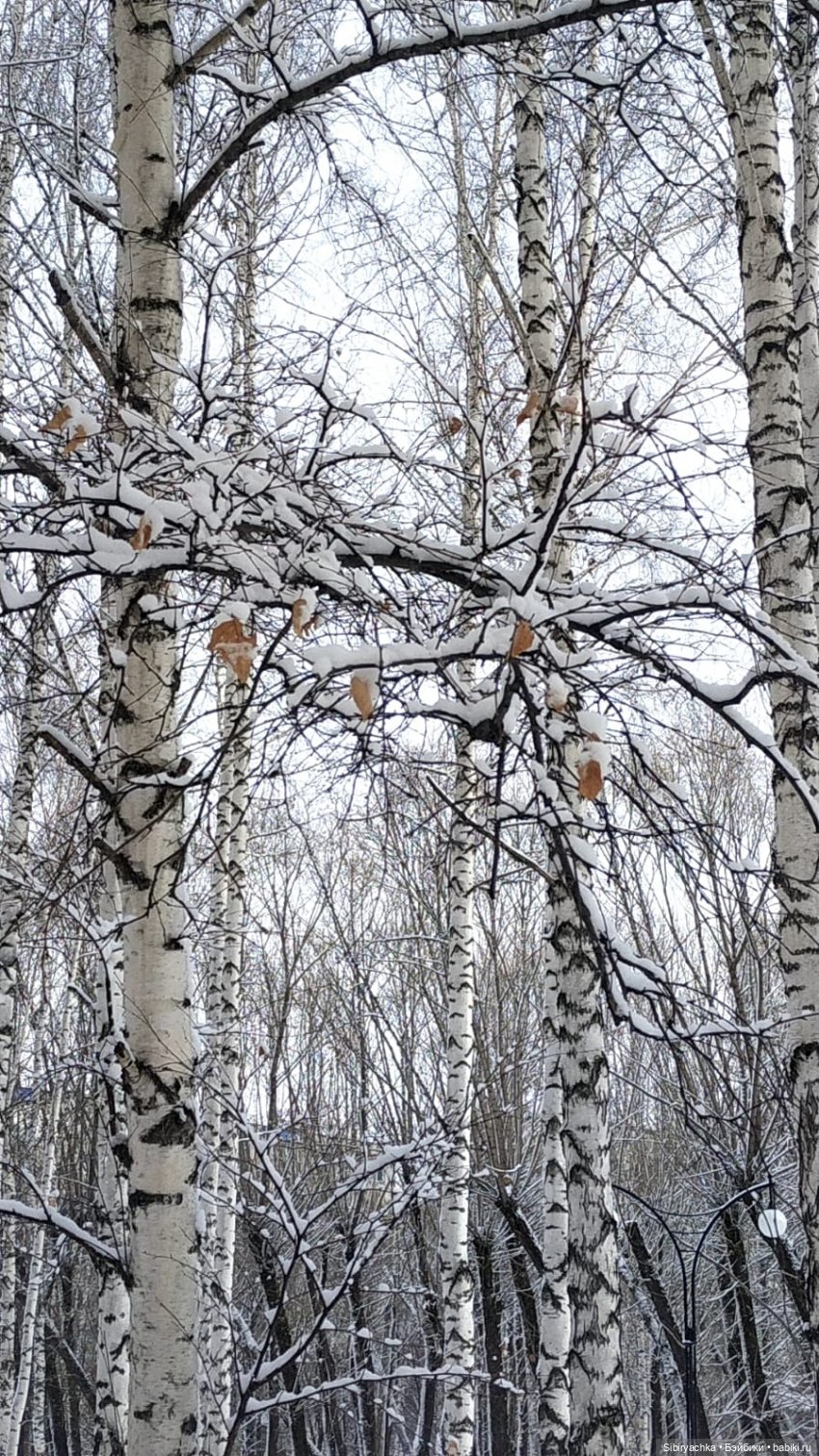 Зима недаром злится, прошла её пора (фото 5)