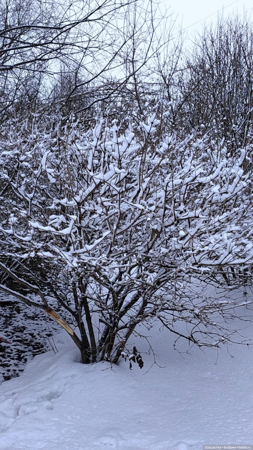 Зима недаром злится, прошла её пора