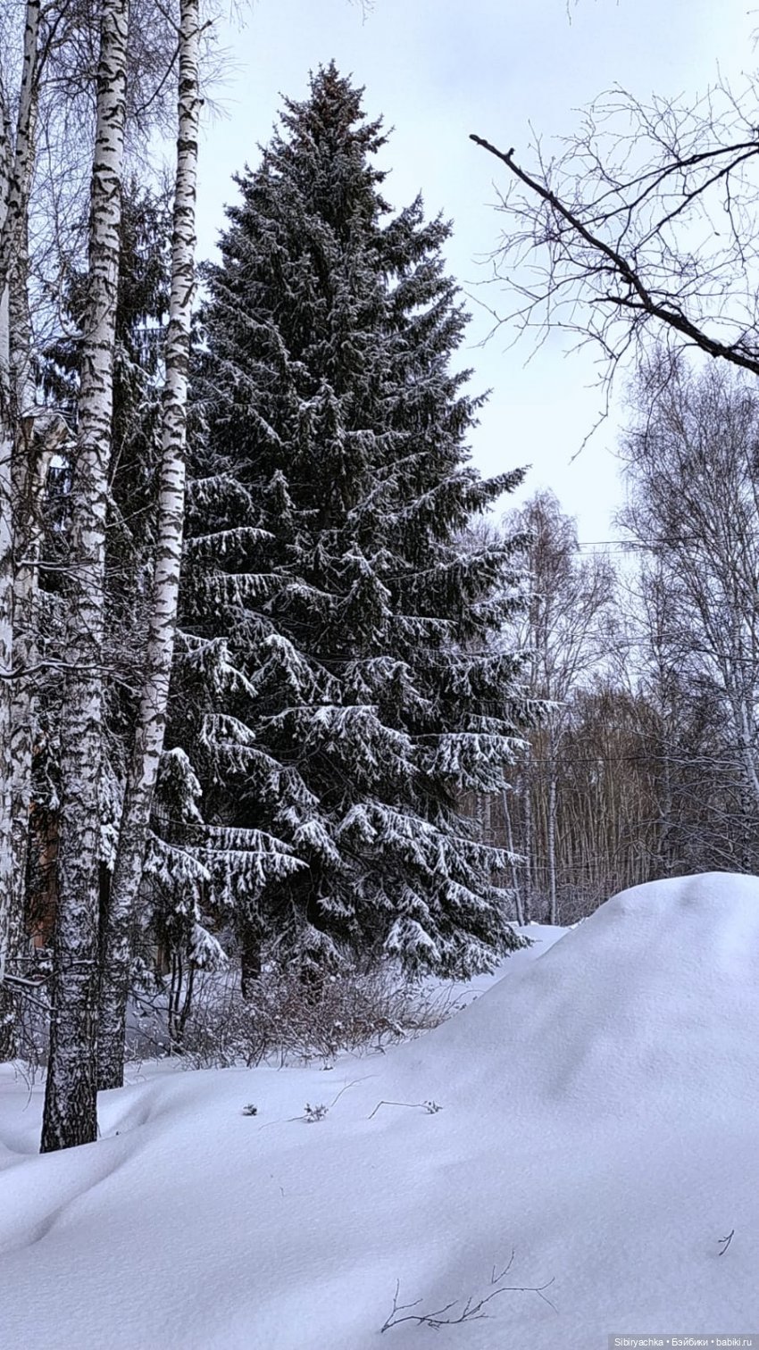 Зима недаром злится, прошла её пора