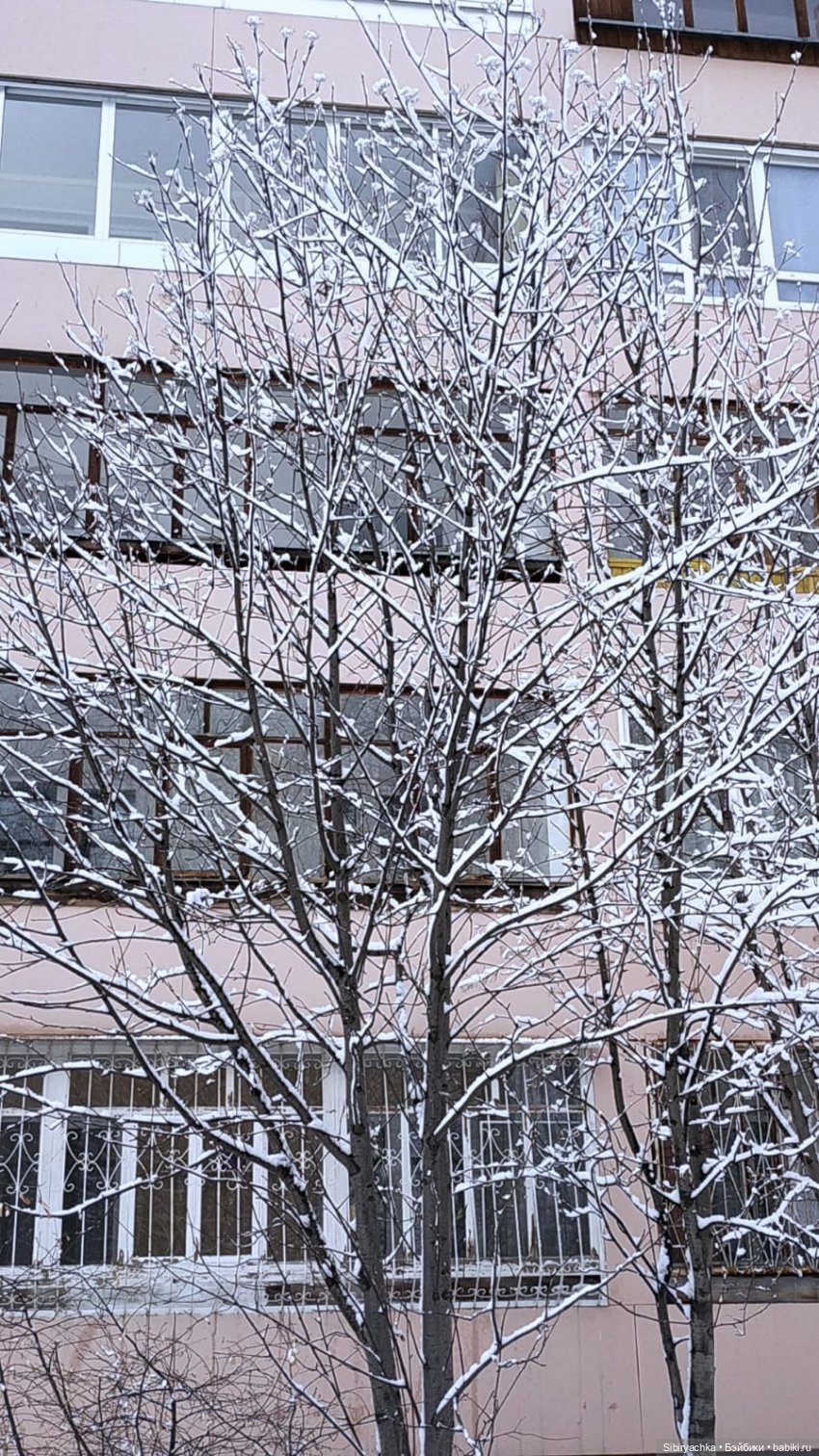 Зима недаром злится, прошла её пора (фото 8)