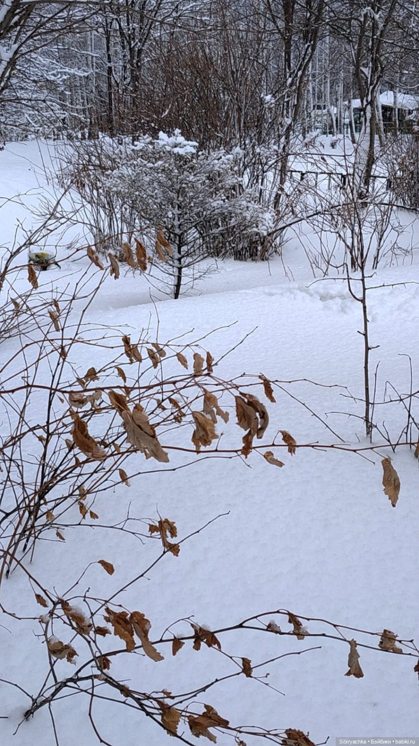 Зима недаром злится, прошла её пора