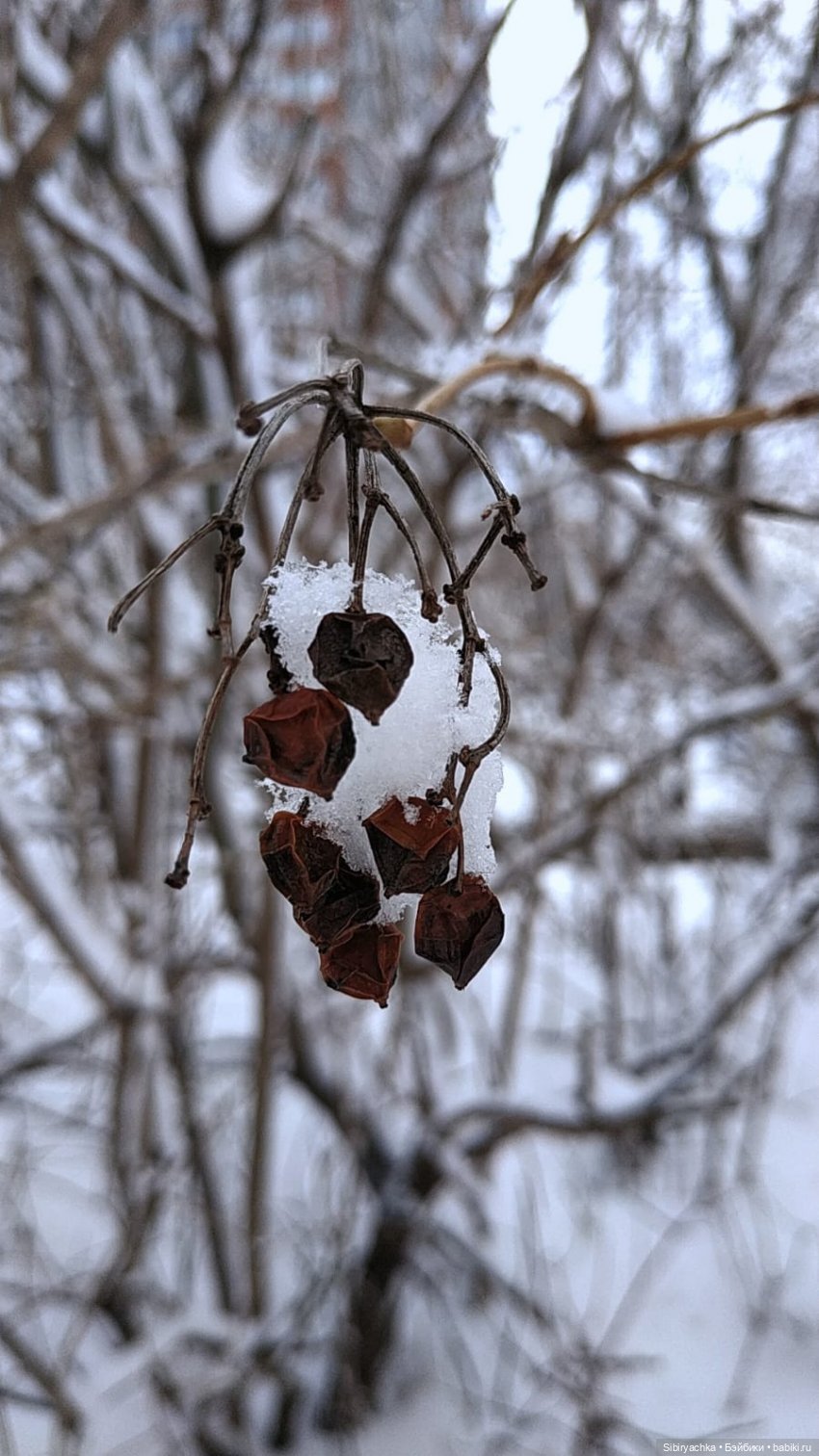 Зима недаром злится, прошла её пора