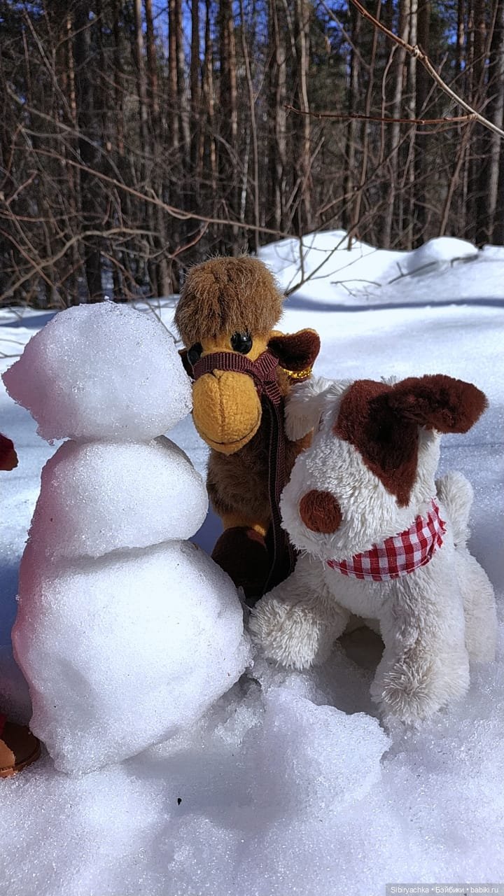 История о том, как Юляшка, Дружок и верблюжонок Том гуляли в лесу