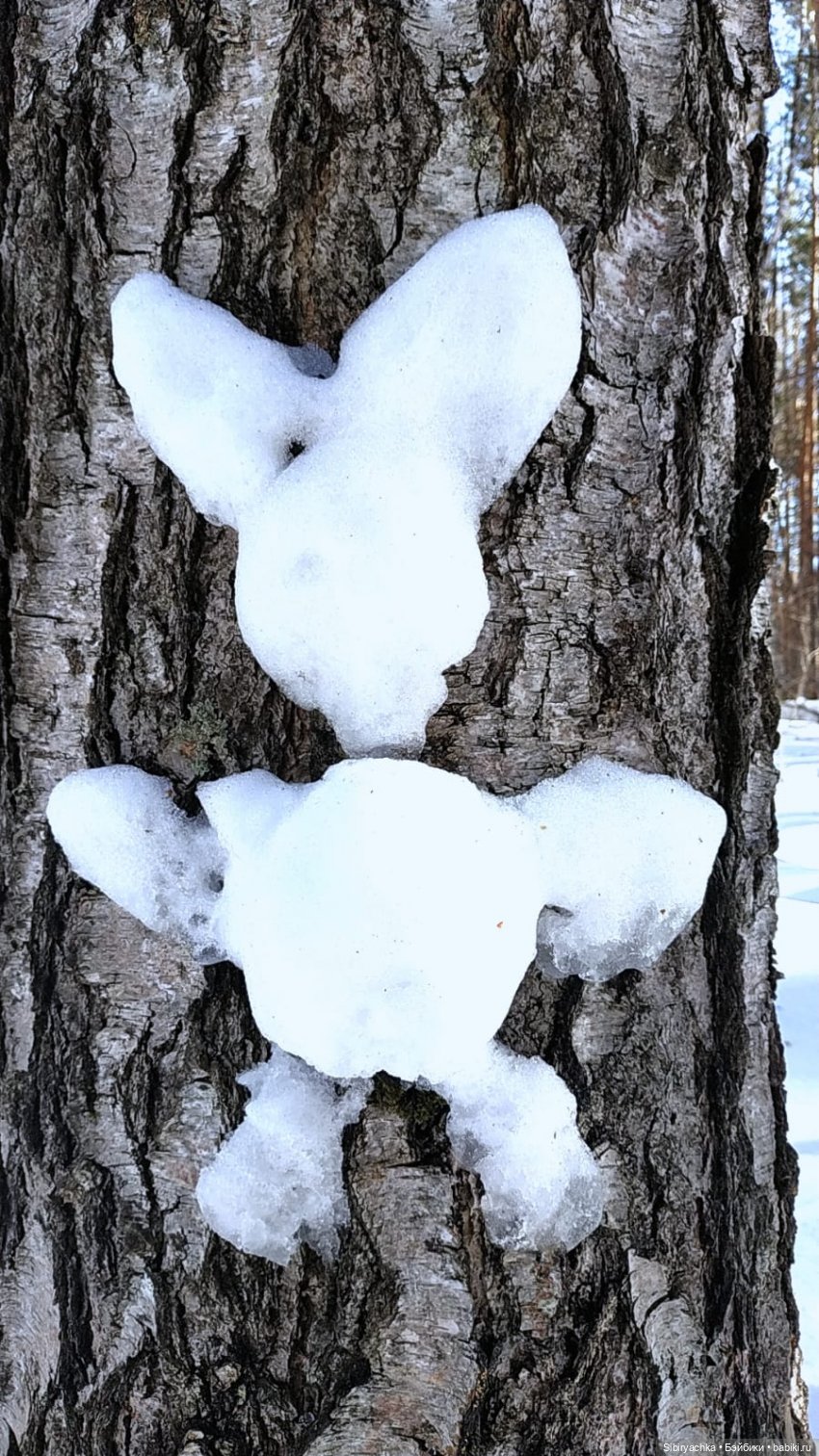 Снежная сказка для Юляшки. Ч. I (фото 3)