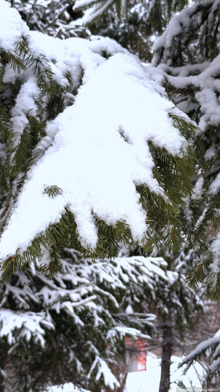 Зима недаром злится, прошла её пора