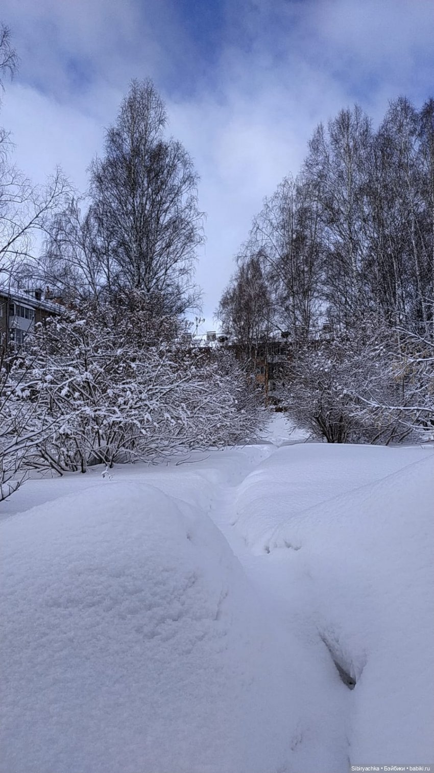 Зима недаром злится, прошла её пора