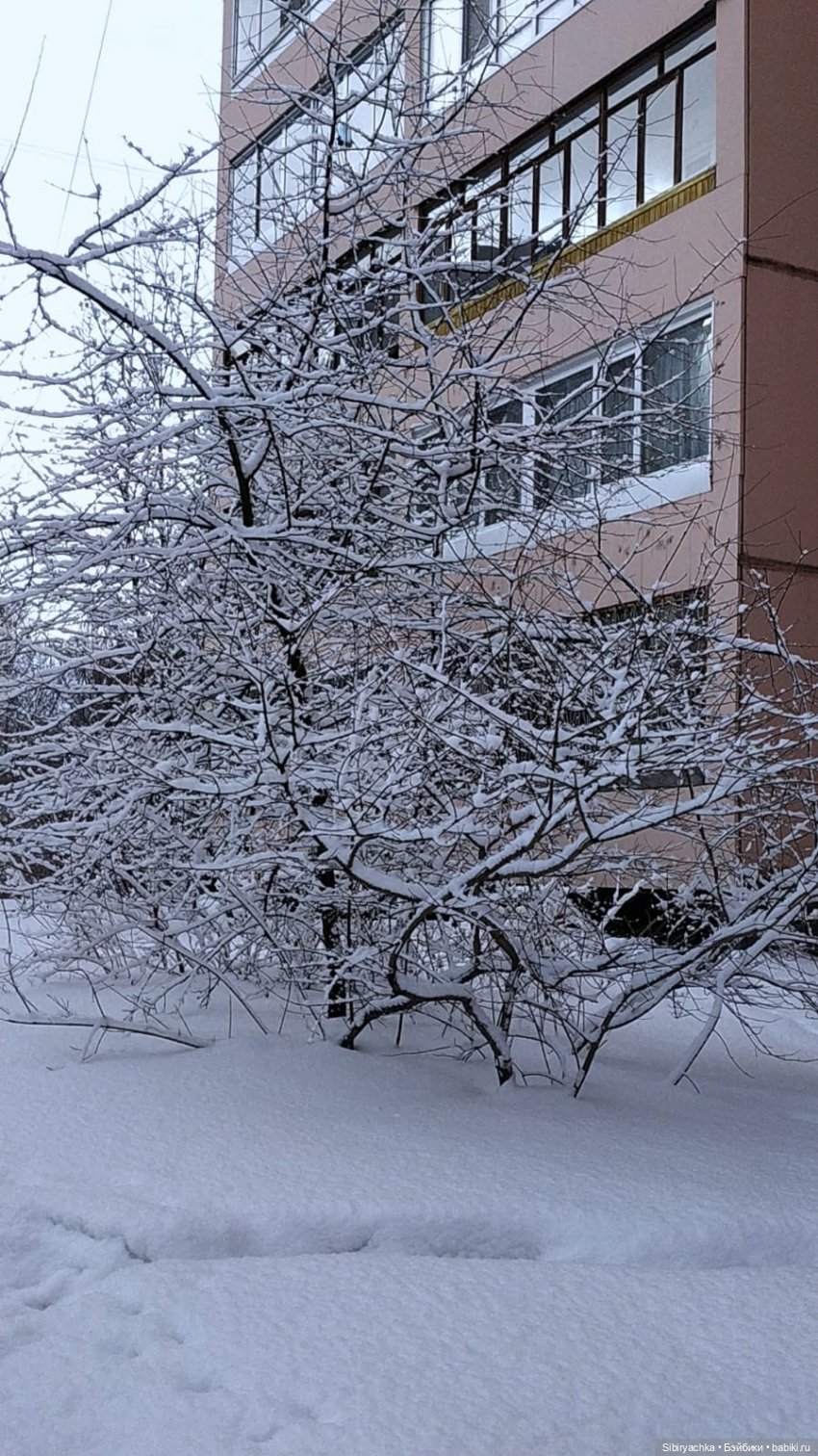 Зима недаром злится, прошла её пора (фото 6)
