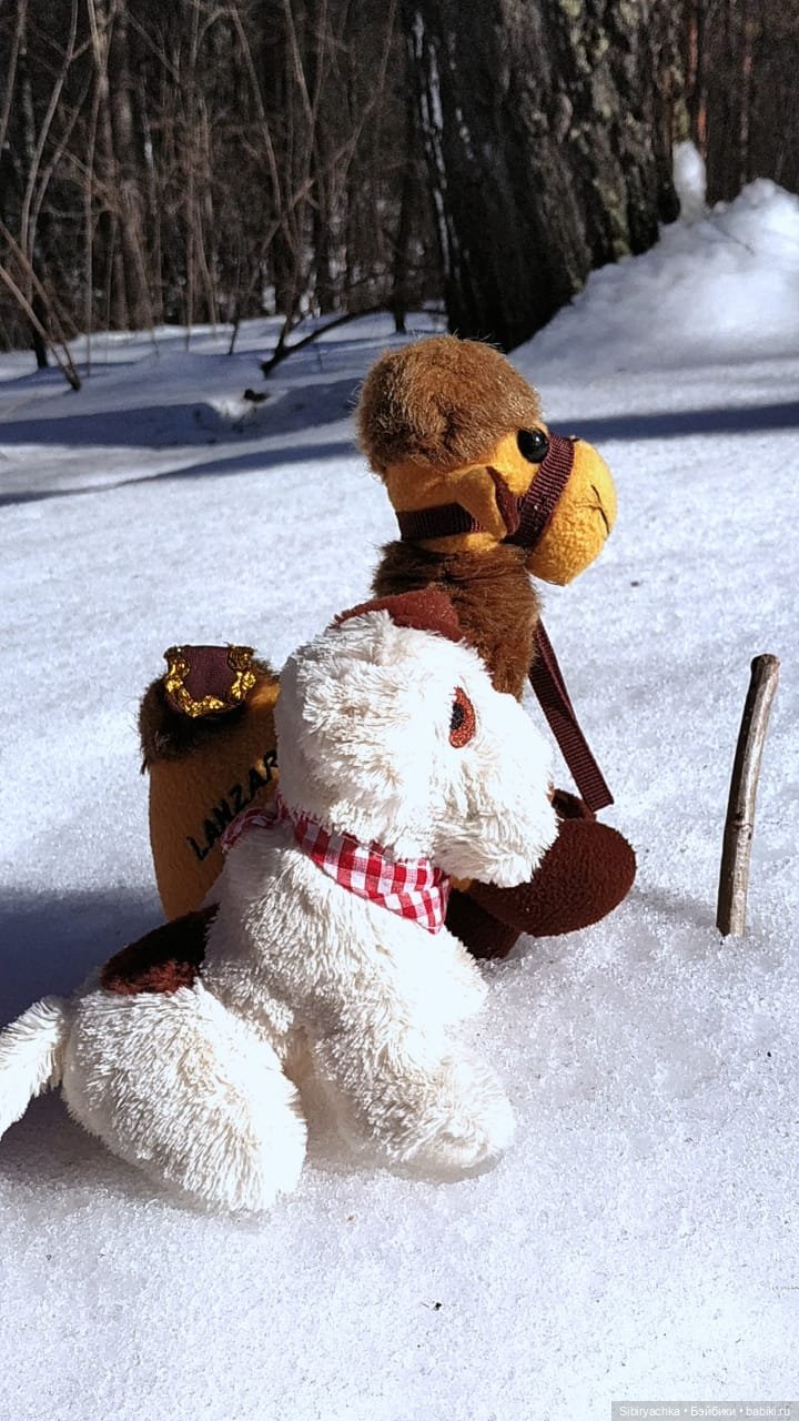 История о том, как Юляшка, Дружок и верблюжонок Том гуляли в лесу