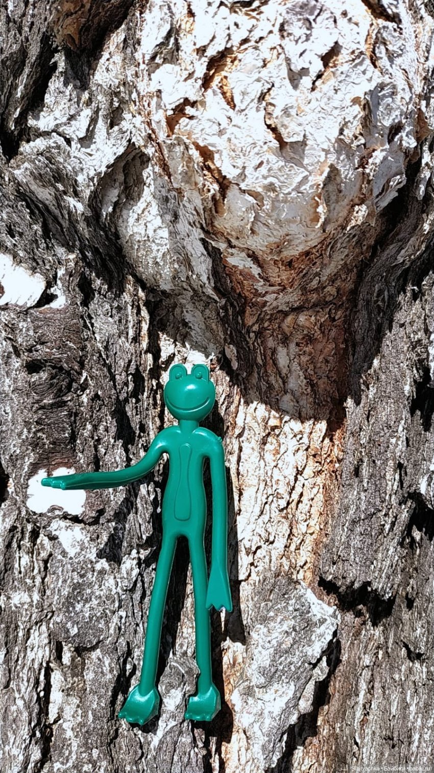 История о том, как Юляшка, Дружок и верблюжонок Том гуляли в лесу (фото 8)