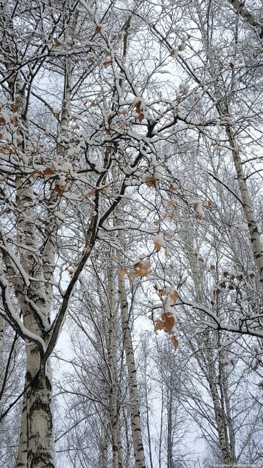 Зима недаром злится, прошла её пора (фото 2)