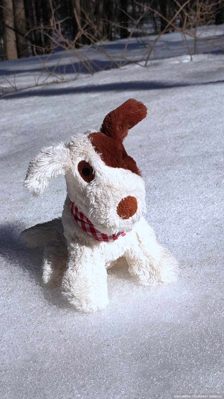 История о том, как Юляшка, Дружок и верблюжонок Том гуляли в лесу