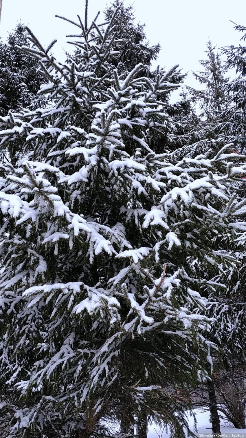 Зима недаром злится, прошла её пора