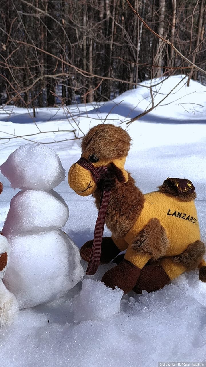 История о том, как Юляшка, Дружок и верблюжонок Том гуляли в лесу