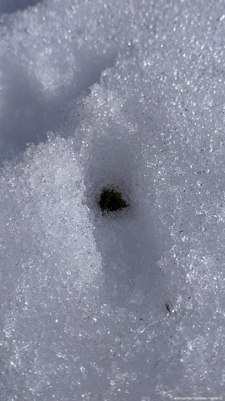 Снежная сказка для Юляшки. Ч. II