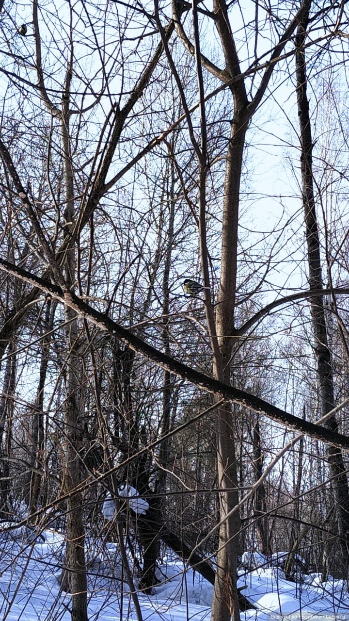 Снежная сказка для Юляшки. Ч. I