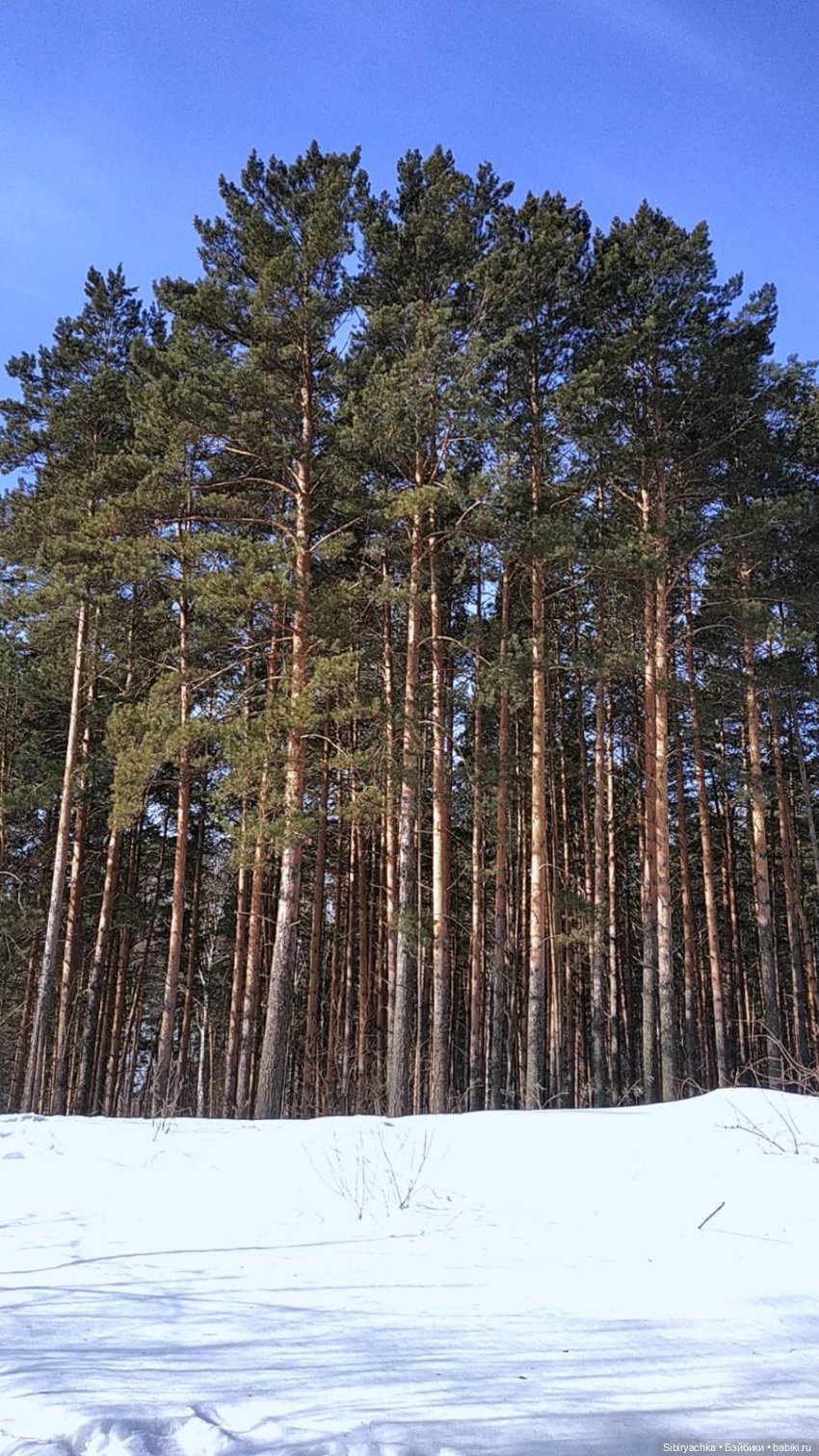 Снежная сказка для Юляшки. Ч. I (фото 4)