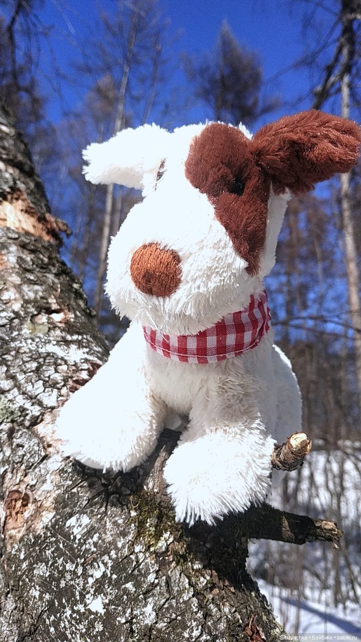 Ни дня без прогулок — Советские винтажные куклы (СССР): Ленигрушка (фото 2)