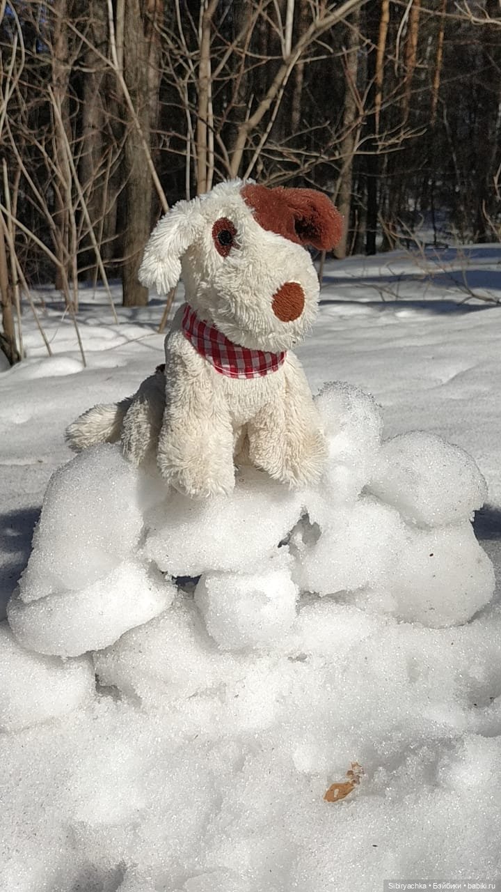 Зимние забавы Юляшки в весеннем лесу (фото 6)