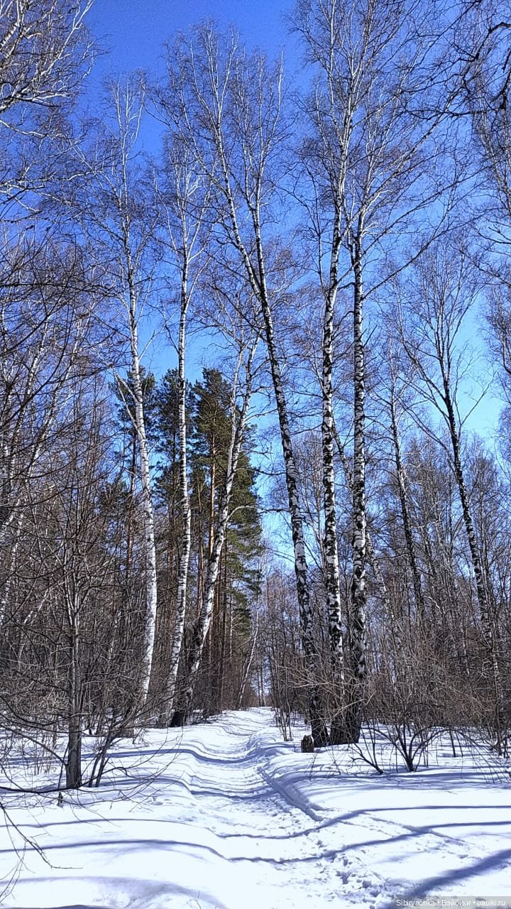 Зимние забавы Юляшки в весеннем лесу