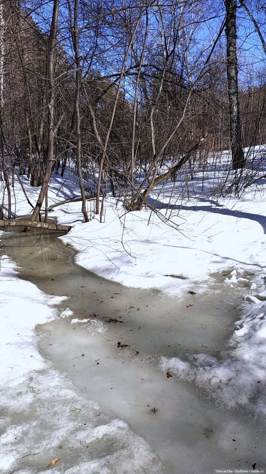 Зимние забавы Юляшки в весеннем лесу