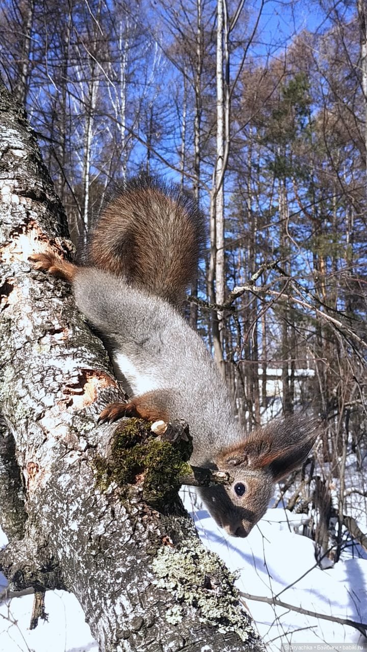 Ни дня без прогулок — Советские винтажные куклы (СССР): Ленигрушка (фото 6)