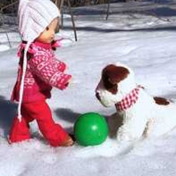 Ни дня без прогулок.