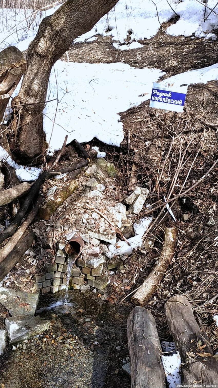 Весна в роще | Бэйбики Весна в роще — Советские винтажные куклы (СССР): Ленигрушка