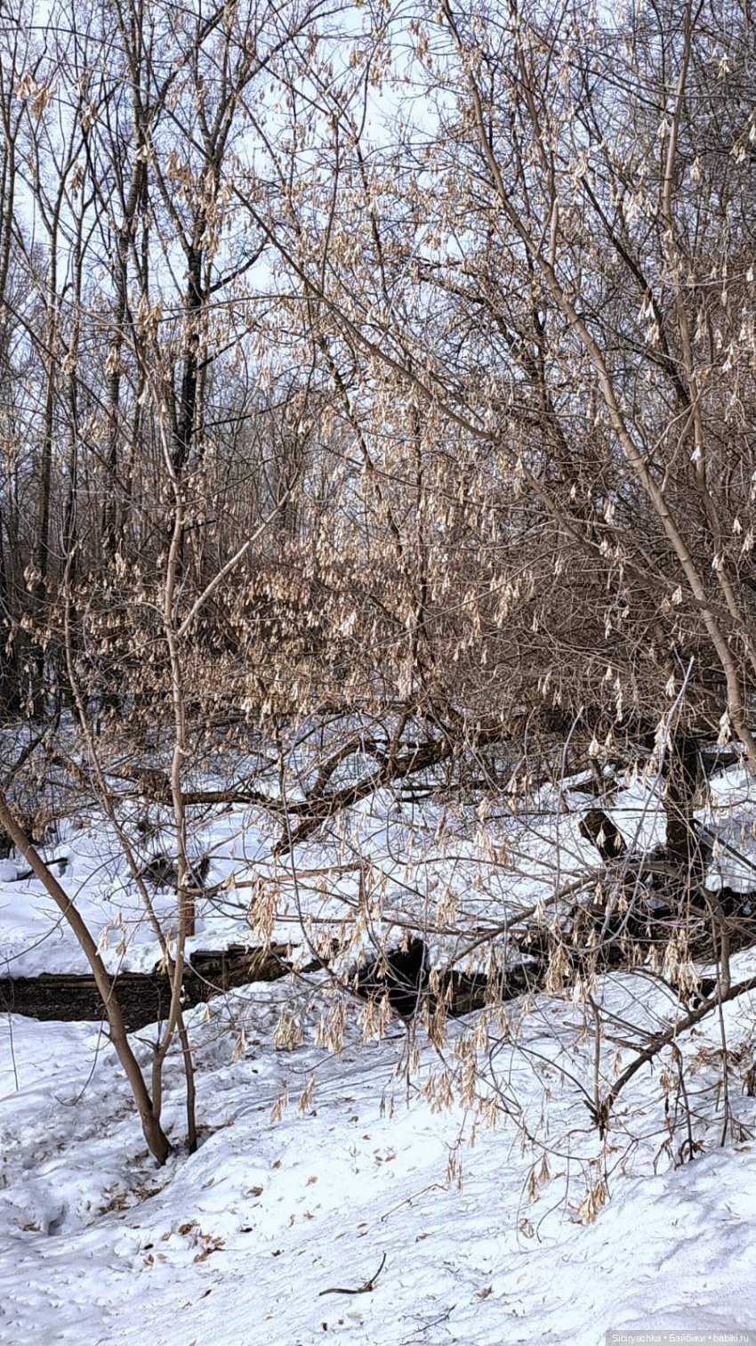 Весна в роще | Бэйбики Весна в роще — Советские винтажные куклы (СССР): Ленигрушка