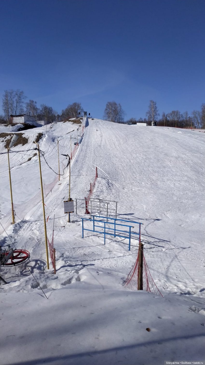 Сибирский лес в последний день марта. Ч. II