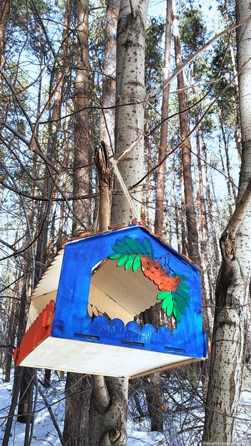 Сибирский лес в последний день марта. Ч. I