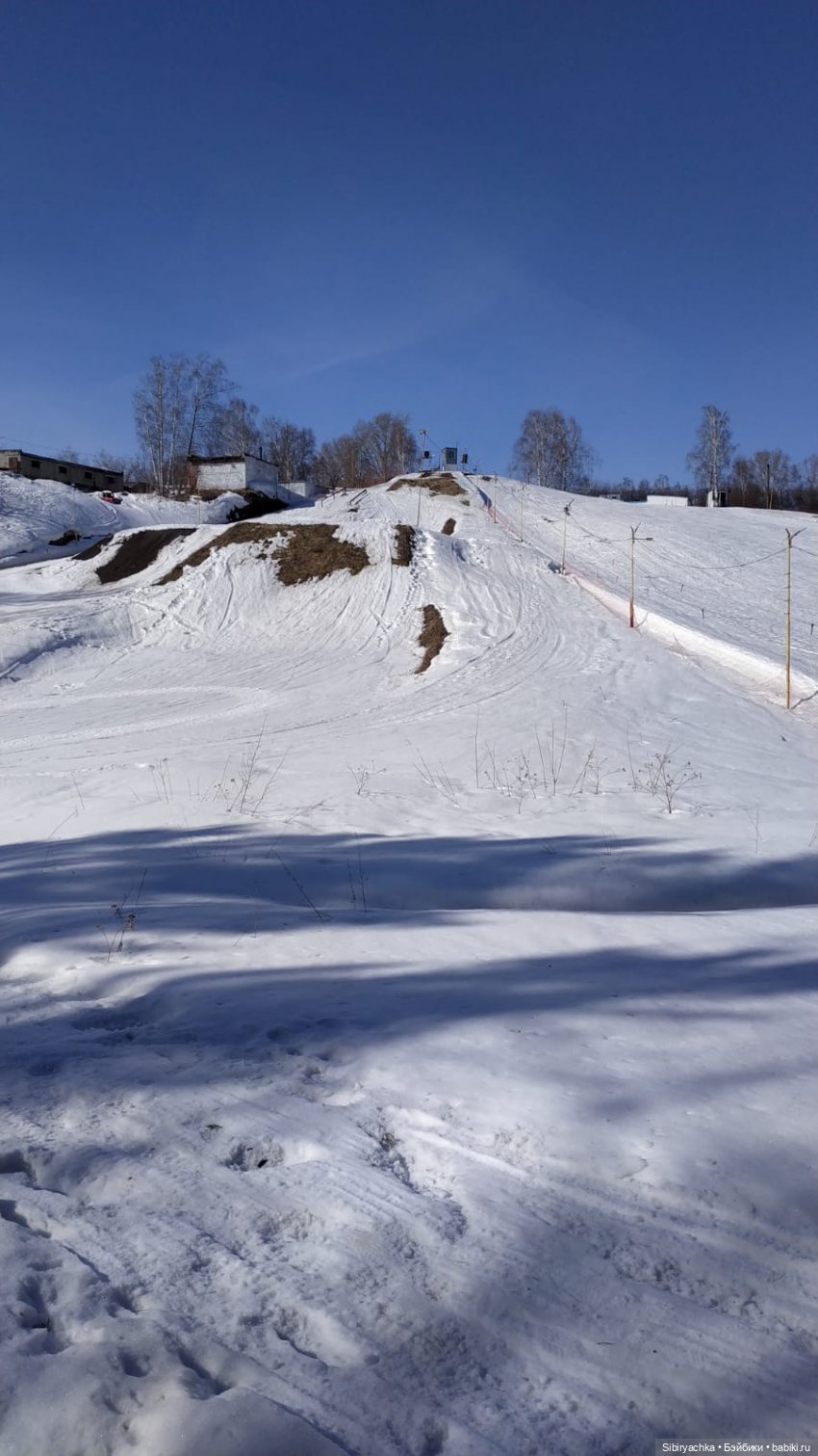 Сибирский лес в последний день марта. Ч. II