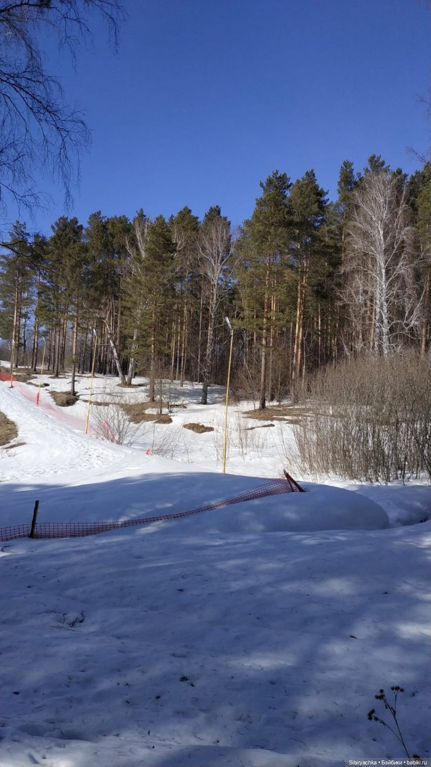 Сибирский лес в последний день марта. Ч. II