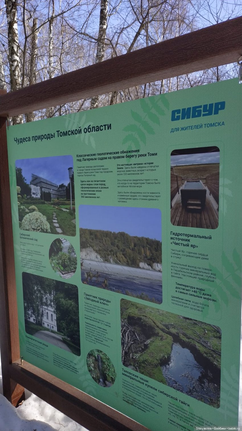 Сибирский лес в последний день марта. Ч. II