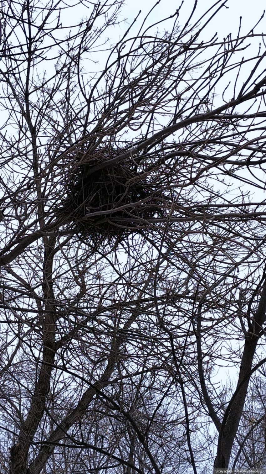 Юляшка знакомится с городом | Бэйбики Юляшка знакомится с городом (фото 10)